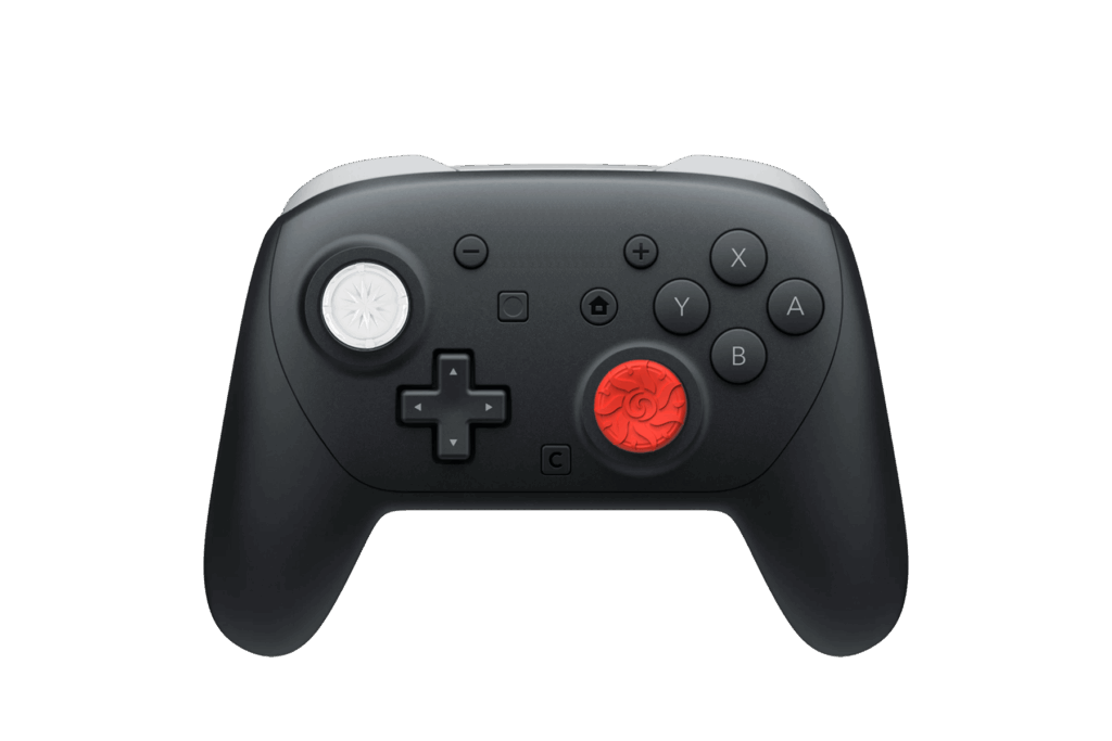 next-accessories-switch-NXNS2JPTP8-57557726 (1)