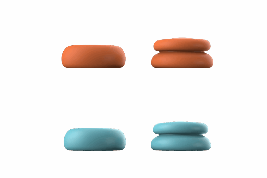 next-accessories-switch-NXNS2JPTP8-57557730 (1)