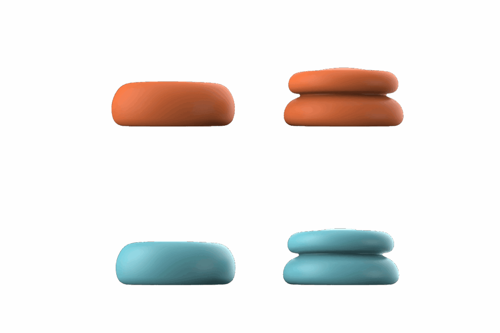 next-accessories-switch-NXNS2JTP8-57557730 (1)