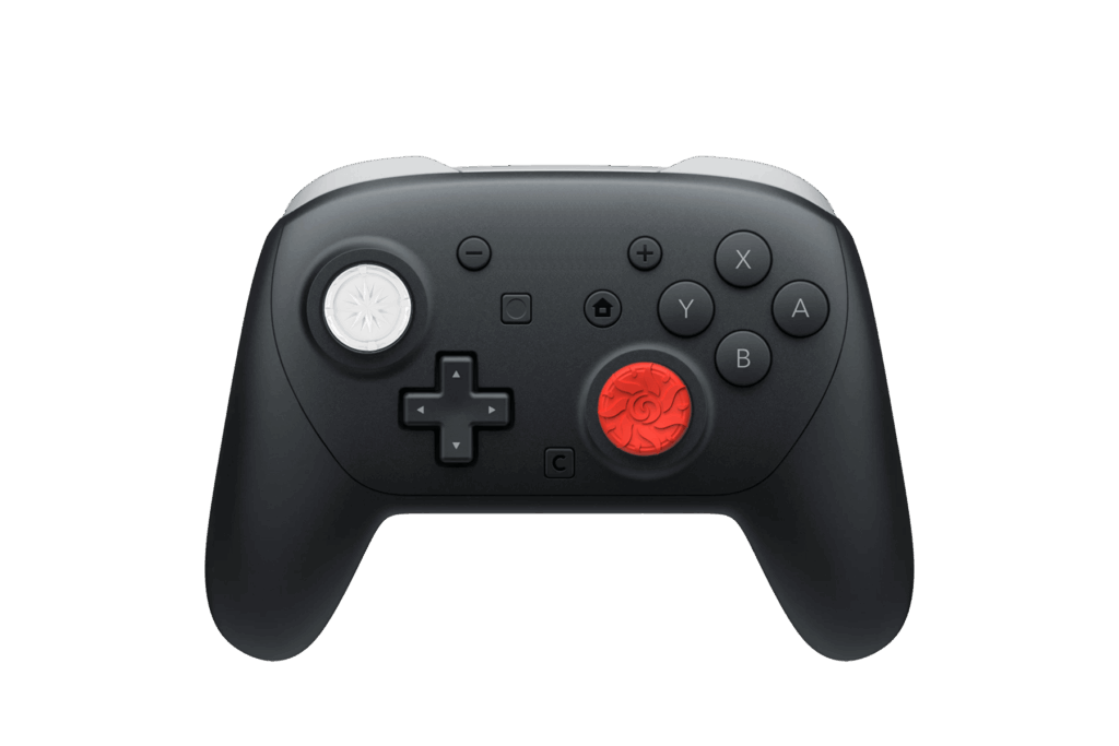 next-accessories-switch-NXNS2PTP4-57560276 (1)