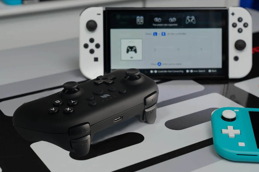 next-accessories-switch-NXSWLCA-54198572 (1)