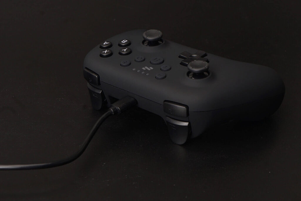 next-accessories-switch-NXSWLCA-54198652 (1)