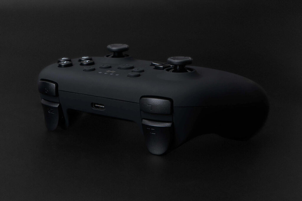 next-accessories-switch-NXSWLCA-54198653 (1)